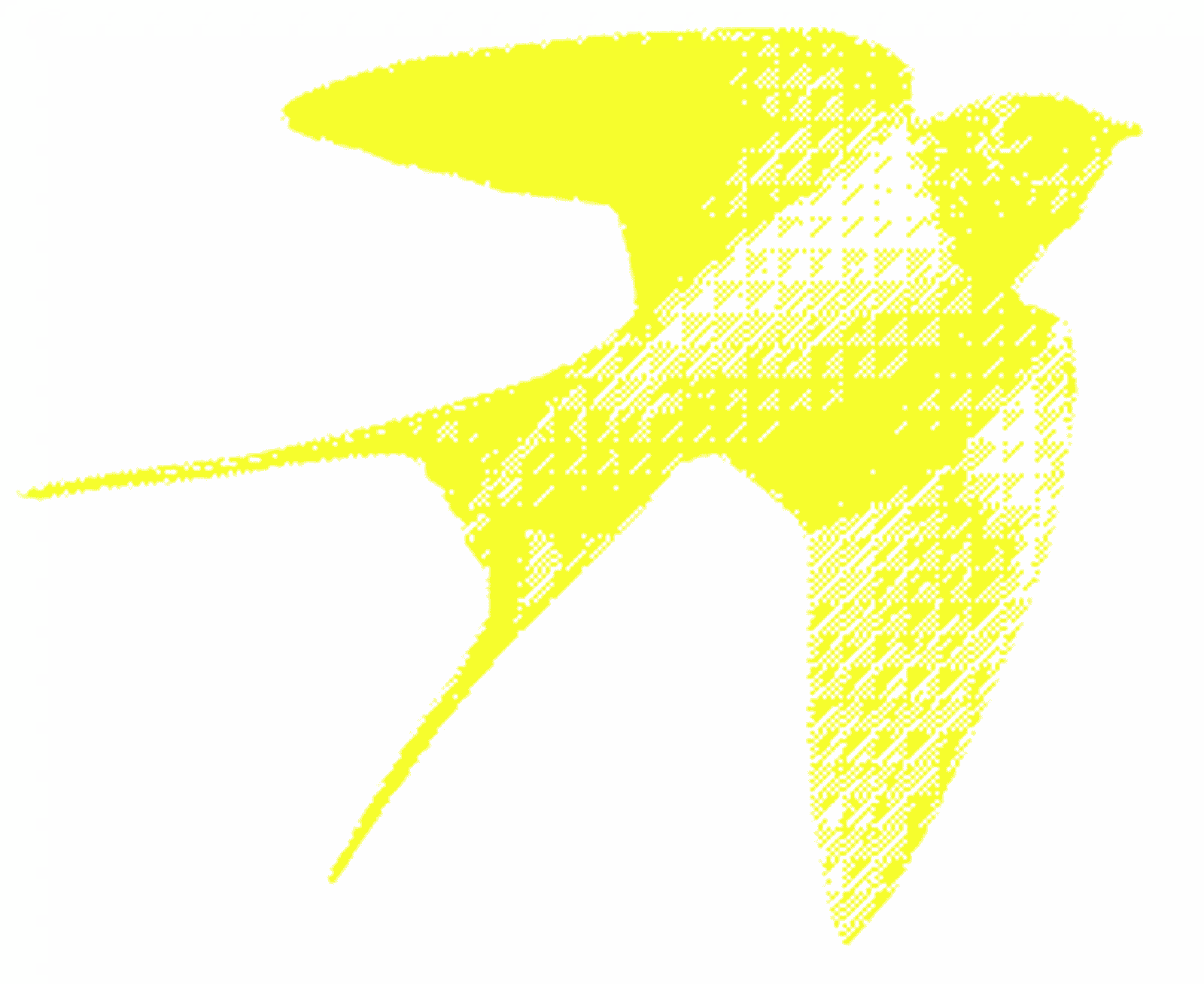 Yellow swallow